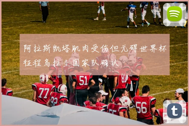 阿拉斯凯塔肌肉受伤但无碍世界杯征程乌拉圭国家队确认